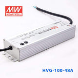 Mean Well HVG-100-48A Power Supply 100W 48V - Adjustable 2A - HVG-100-48A - powersupplymall.com