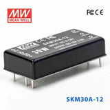 Mean Well SKM30A-12 DC-DC Converter - 30W - 9~18V in 12V out 2.5A - SKM30A-12 - powersupplymall.com