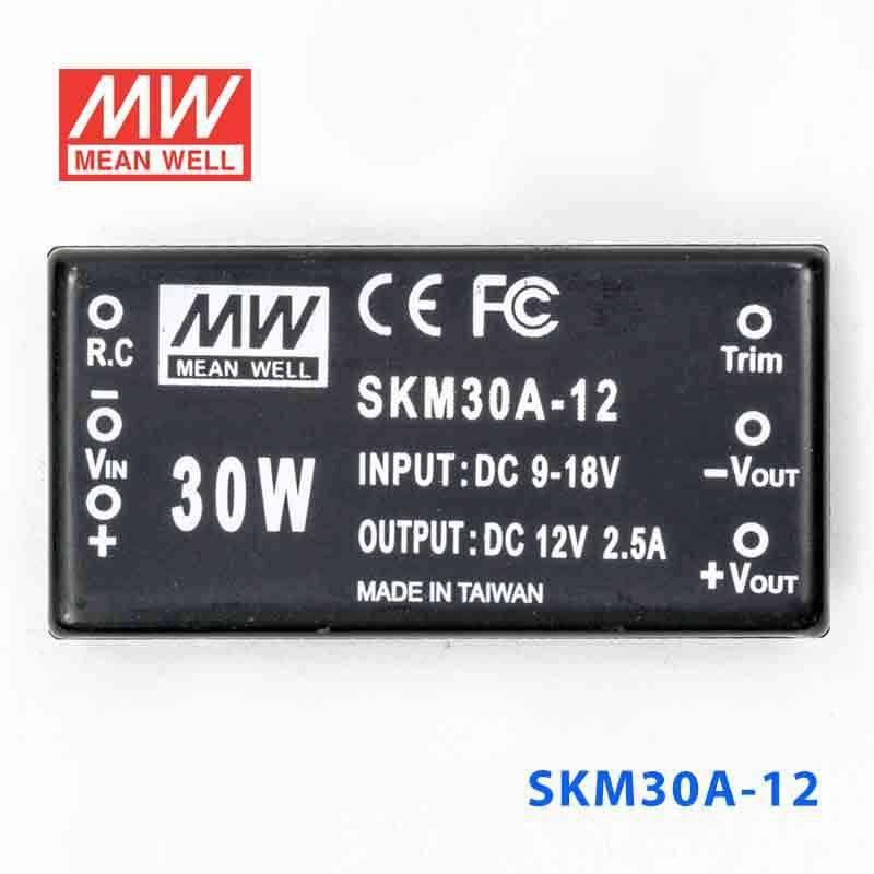 Mean Well SKM30A-12 DC-DC Converter - 30W - 9~18V in 12V out 2.5A - SKM30A-12 - powersupplymall.com