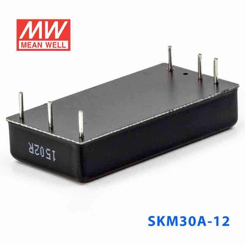 Mean Well SKM30A - 12 DC - DC Converter - 30W - 9~18V in 12V out - SKM30A - 12 - powersupplymall.com