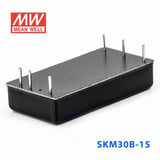 Mean Well SKM30B-15 DC-DC Converter - 30W - 18~36V in 15V out 2A - SKM30B-15 - powersupplymall.com
