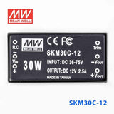 Mean Well SKM30C-12 DC-DC Converter - 30W - 36~75V in 12V out 2.5A - SKM30C-12 - powersupplymall.com