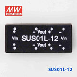 Mean Well SUS01L-12 DC-DC Converter - 1W - 4.5~5.5V in 12V out - SUS01L-12 - powersupplymall.com