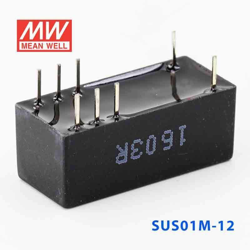Mean Well SUS01M-12 DC-DC Converter - 1W - 10.8~13.2V in 12V out - SUS01M-12 - powersupplymall.com