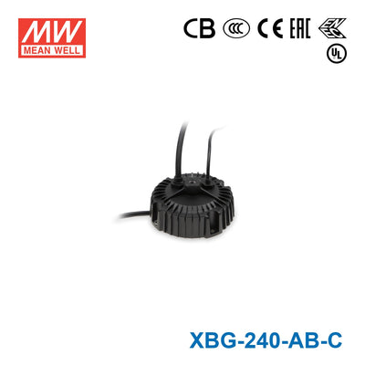 Mean Well XBG-240-AB-C Power Supply 240W - Adjustable